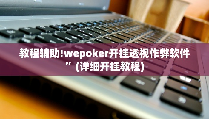 教程辅助!wepoker开挂透视作弊软件”(详细开挂教程)
