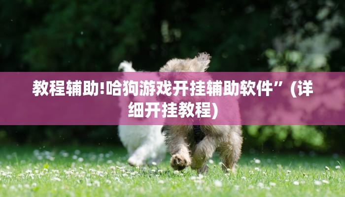 教程辅助!哈狗游戏开挂辅助软件”(详细开挂教程)