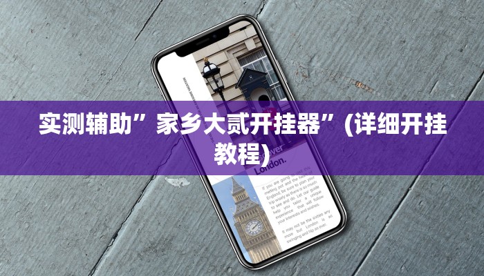 实测辅助”家乡大贰开挂器”(详细开挂教程)