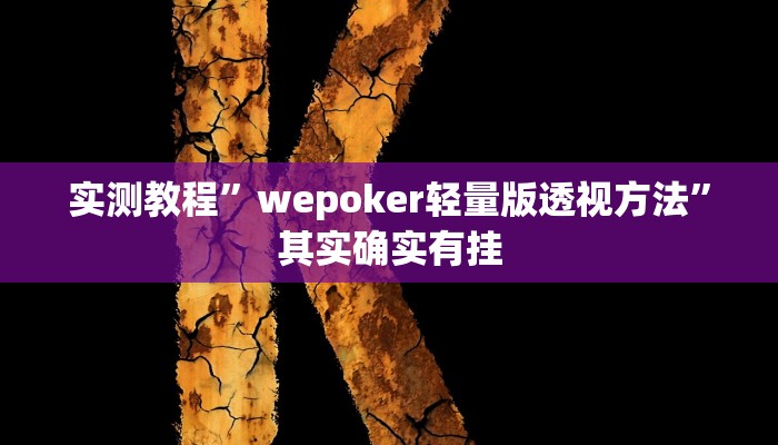 实测教程”wepoker轻量版透视方法”其实确实有挂