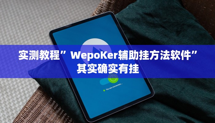 实测教程”WepoKer辅助挂方法软件”其实确实有挂