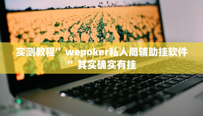 实测教程”wepoker私人局辅助挂软件”其实确实有挂