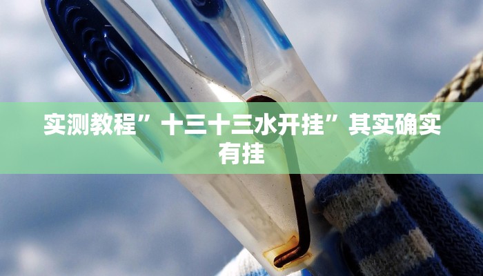 实测教程”十三十三水开挂”其实确实有挂