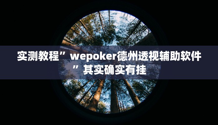 实测教程”wepoker德州透视辅助软件”其实确实有挂