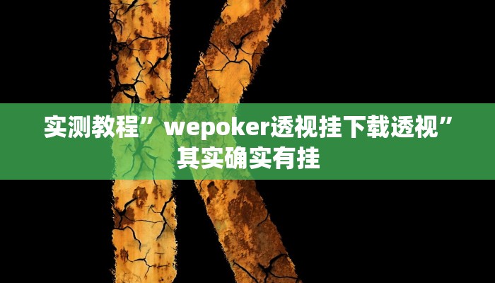 实测教程”wepoker透视挂下载透视”其实确实有挂