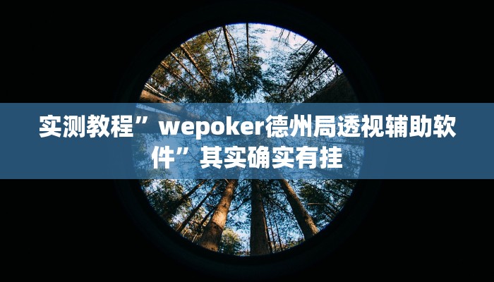 实测教程”wepoker德州局透视辅助软件”其实确实有挂