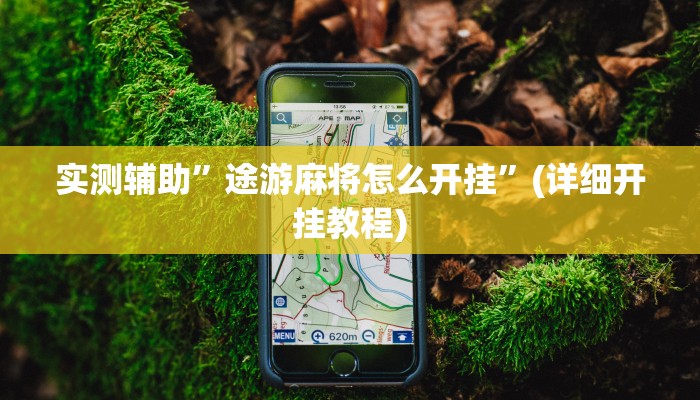 实测辅助”途游麻将怎么开挂”(详细开挂教程)