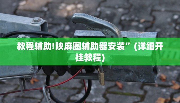 教程辅助!陕麻圈辅助器安装”(详细开挂教程)