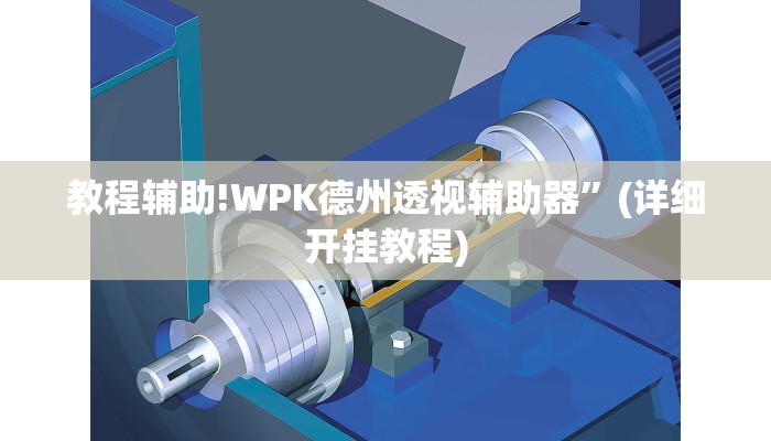 教程辅助!WPK德州透视辅助器”(详细开挂教程)