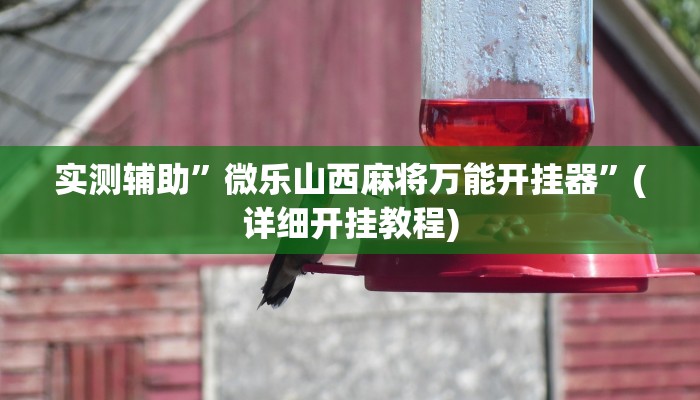 实测辅助”微乐山西麻将万能开挂器”(详细开挂教程)