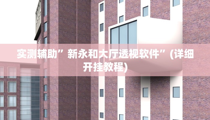 实测辅助”新永和大厅透视软件”(详细开挂教程)