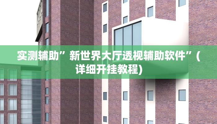 实测辅助”新世界大厅透视辅助软件”(详细开挂教程)