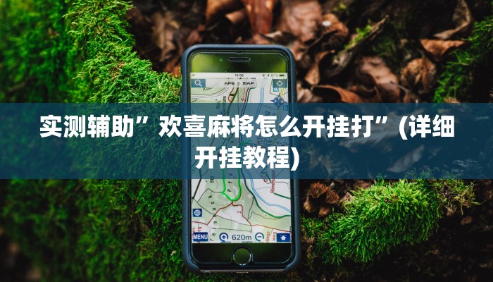 实测辅助”欢喜麻将怎么开挂打”(详细开挂教程)