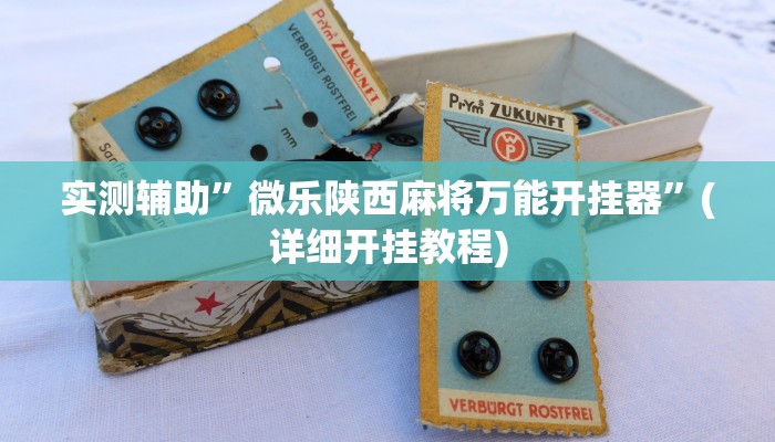 实测辅助”微乐陕西麻将万能开挂器”(详细开挂教程)
