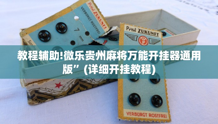 教程辅助!微乐贵州麻将万能开挂器通用版”(详细开挂教程)