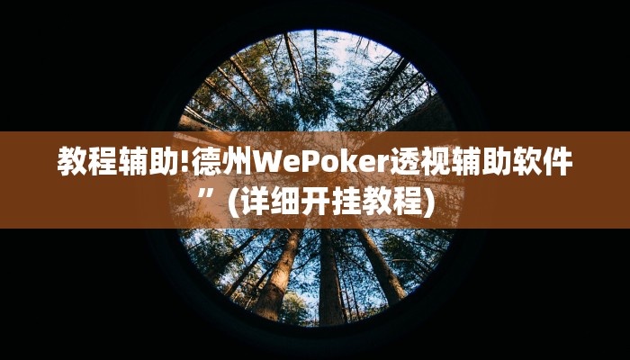教程辅助!德州WePoker透视辅助软件”(详细开挂教程)