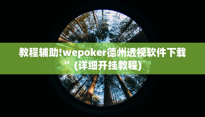 教程辅助!wepoker德州透视软件下载”(详细开挂教程)