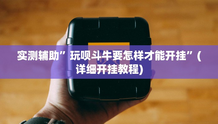 实测辅助”玩呗斗牛要怎样才能开挂”(详细开挂教程)