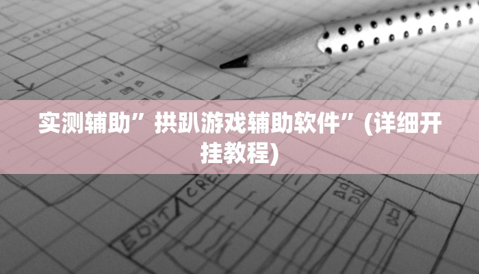 实测辅助”拱趴游戏辅助软件”(详细开挂教程)