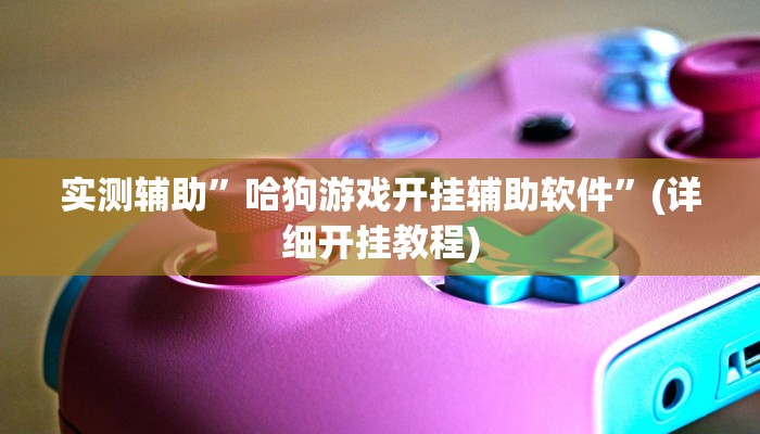 实测辅助”哈狗游戏开挂辅助软件”(详细开挂教程)