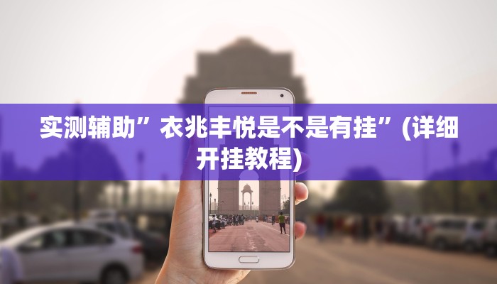 实测辅助”衣兆丰悦是不是有挂”(详细开挂教程)