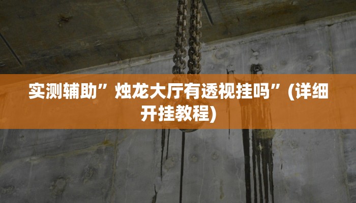 实测辅助”烛龙大厅有透视挂吗”(详细开挂教程)