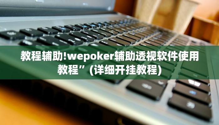 教程辅助!wepoker辅助透视软件使用教程”(详细开挂教程)