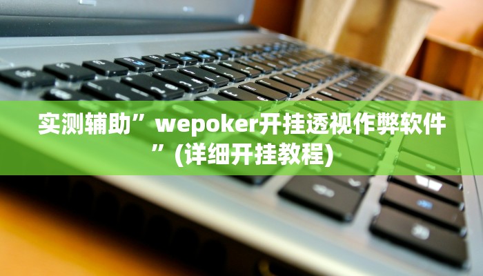实测辅助”wepoker开挂透视作弊软件”(详细开挂教程)
