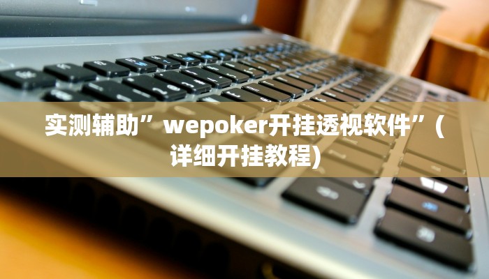 实测辅助”wepoker开挂透视软件”(详细开挂教程)