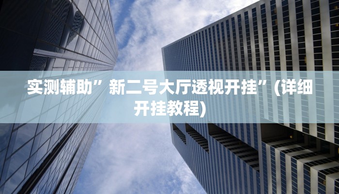 实测辅助”新二号大厅透视开挂”(详细开挂教程)