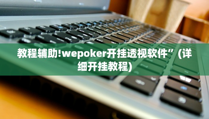 教程辅助!wepoker开挂透视软件”(详细开挂教程)