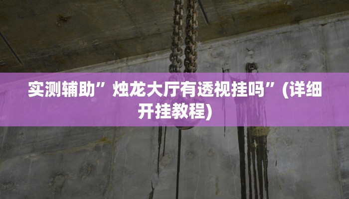 实测辅助”烛龙大厅有透视挂吗”(详细开挂教程)