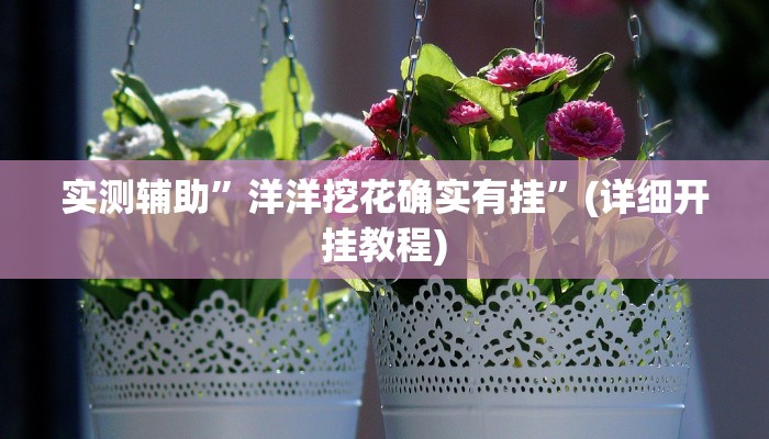 实测辅助”洋洋挖花确实有挂”(详细开挂教程)