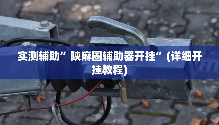 实测辅助”陕麻圈辅助器开挂”(详细开挂教程)