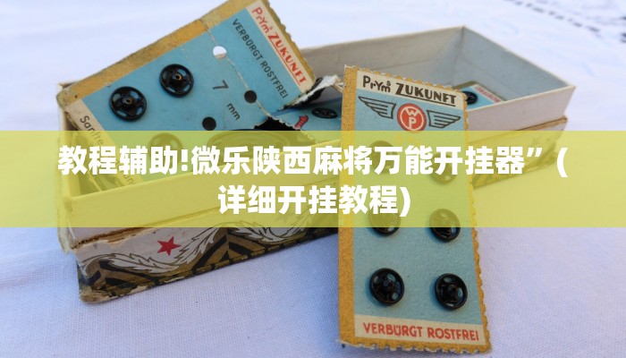 教程辅助!微乐陕西麻将万能开挂器”(详细开挂教程)