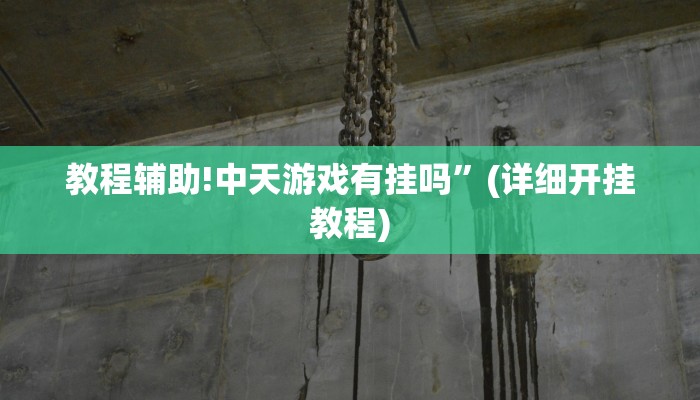 教程辅助!中天游戏有挂吗”(详细开挂教程)