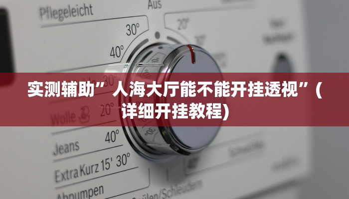 实测辅助”人海大厅能不能开挂透视”(详细开挂教程)