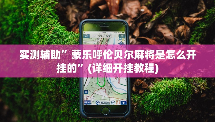 实测辅助”蒙乐呼伦贝尔麻将是怎么开挂的”(详细开挂教程)