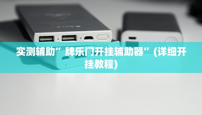 实测辅助”牌乐门开挂辅助器”(详细开挂教程)