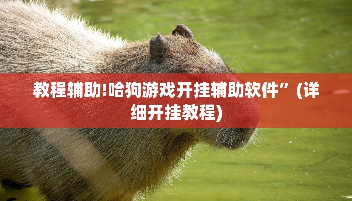 教程辅助!哈狗游戏开挂辅助软件”(详细开挂教程)
