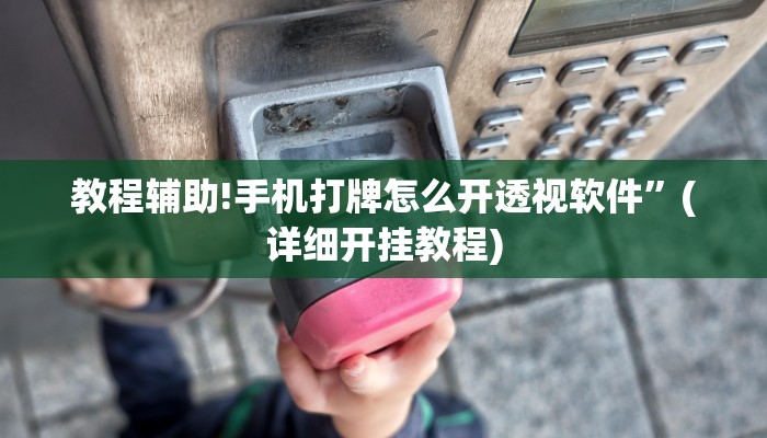 教程辅助!手机打牌怎么开透视软件”(详细开挂教程)