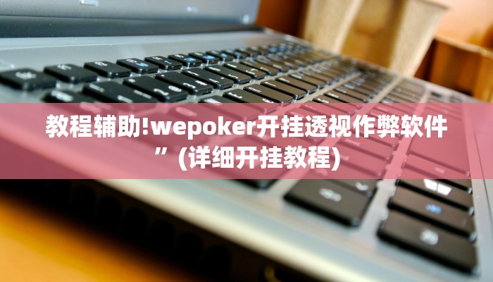 教程辅助!wepoker开挂透视作弊软件”(详细开挂教程)