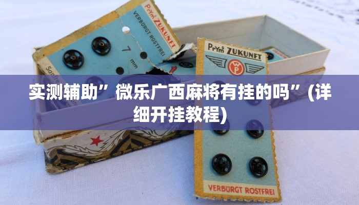 实测辅助”微乐广西麻将有挂的吗”(详细开挂教程)