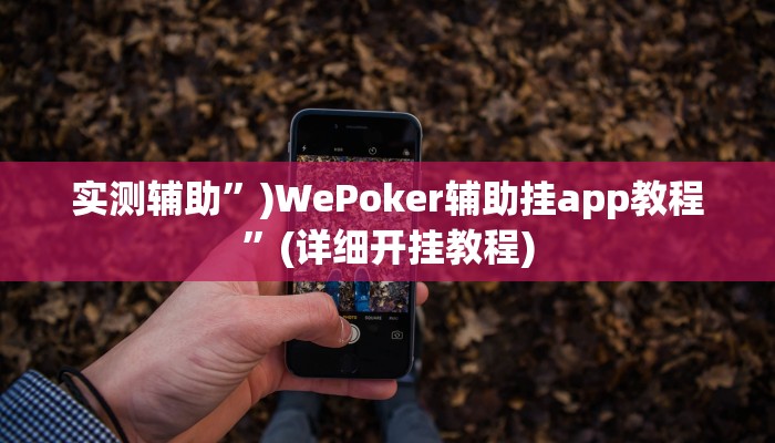 实测辅助”)WePoker辅助挂app教程”(详细开挂教程)