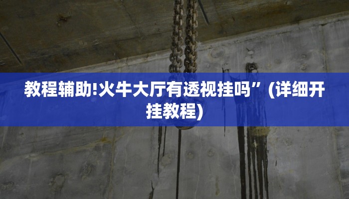 教程辅助!火牛大厅有透视挂吗”(详细开挂教程)