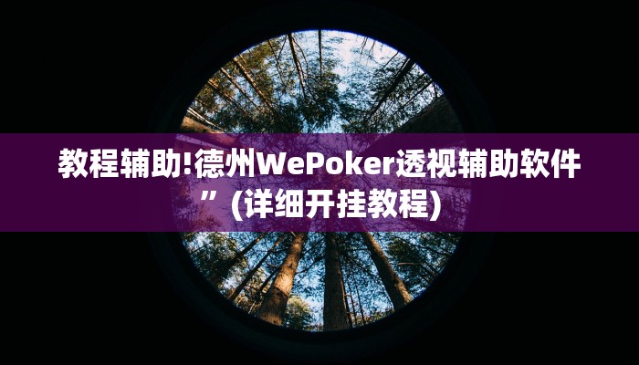 教程辅助!德州WePoker透视辅助软件”(详细开挂教程)
