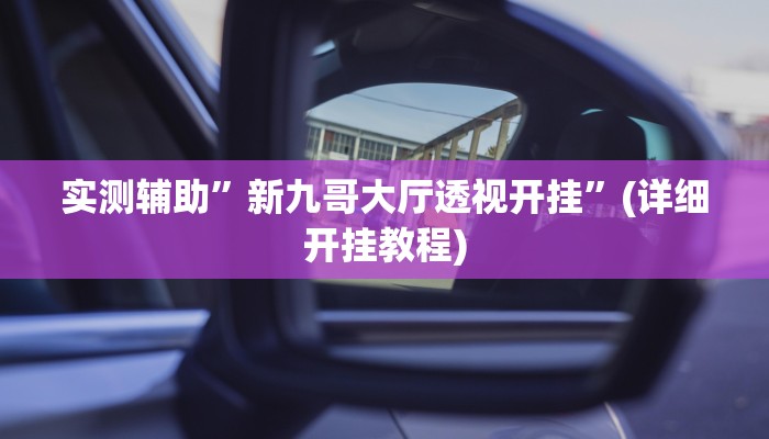 实测辅助”新九哥大厅透视开挂”(详细开挂教程)
