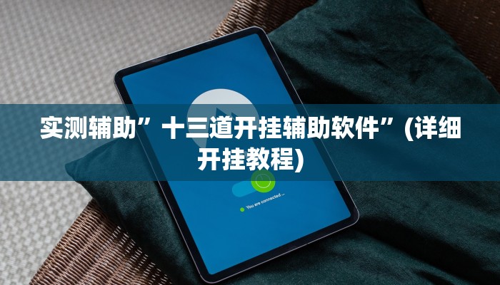 实测辅助”十三道开挂辅助软件”(详细开挂教程)