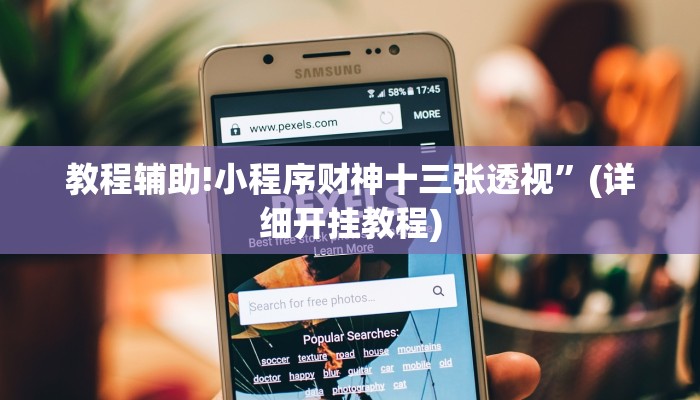 教程辅助!小程序财神十三张透视”(详细开挂教程)