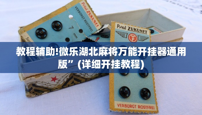 教程辅助!微乐湖北麻将万能开挂器通用版”(详细开挂教程)